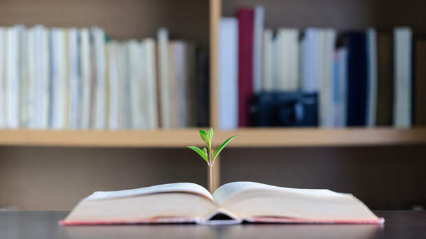 Школьники из России взяли четыре золота на международной олимпиаде по биологии