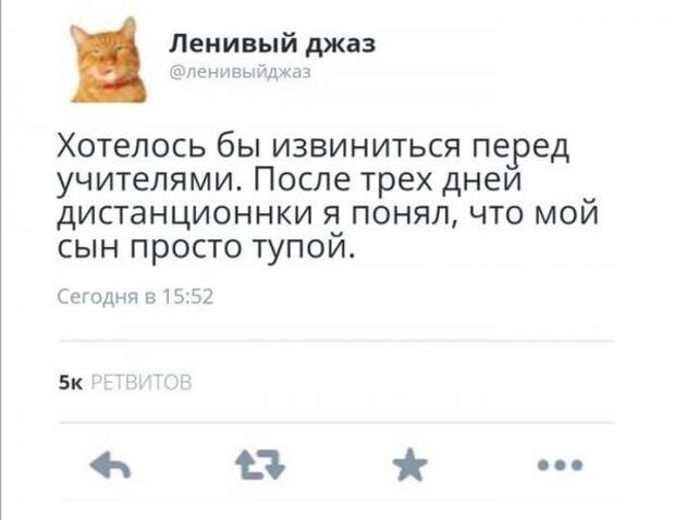 "Заберите его в школу, а то я повешусь или сопьюсь": о дистанционном российском образовании