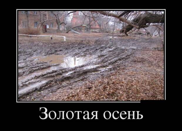 Демотиваторы (30 фото)