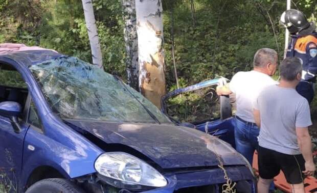 На трассе в Челябинской области женщина-водитель врезалась в деревья из-за упавшей березы