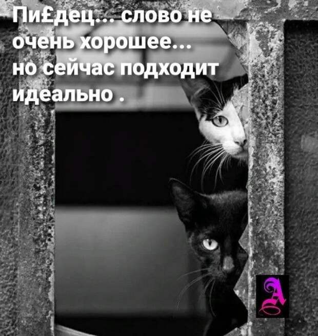 О погоде в Донецке