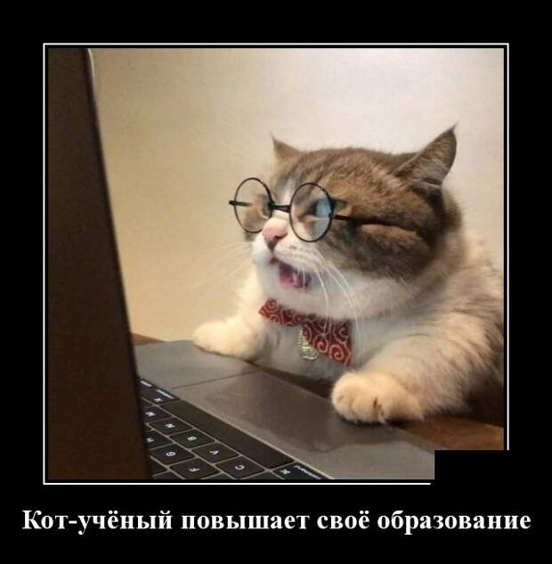 Демотиваторы (30 фото)