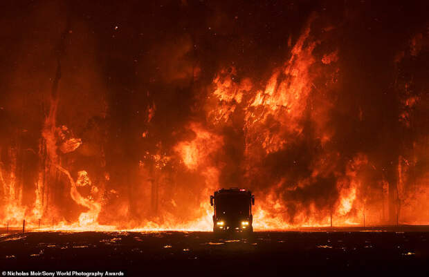 Пожары на юго-востоке Австралии