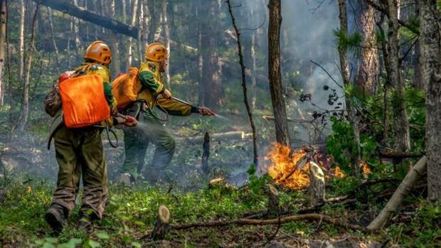 В Генпрокуратуре обнаружили искажение статистики по лесным пожарам