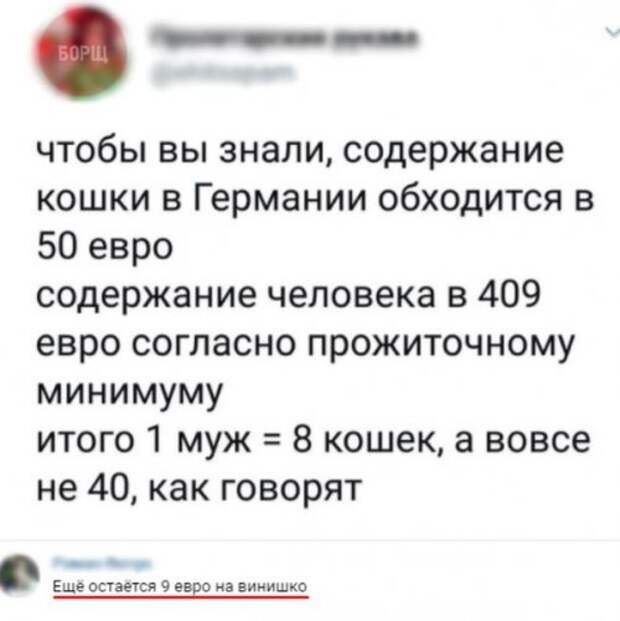 Убойная подборочка сатирических комментариев из сети о народных юмористов