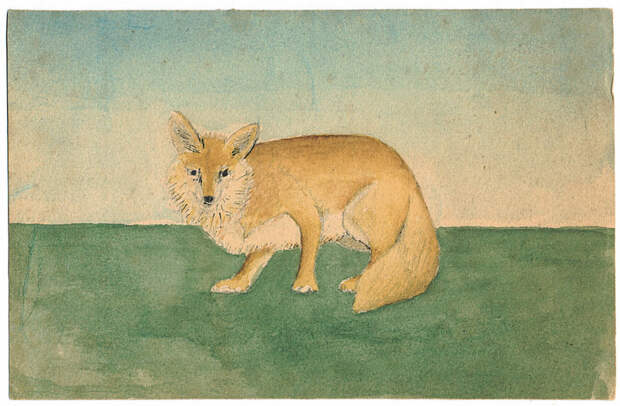A fox drawn by Wangenheim.
