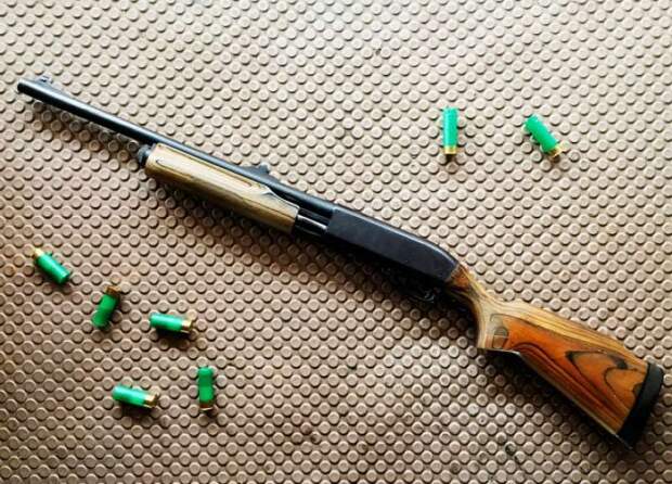 Житель Дубны выстрелил соседке в голову из-за выгула собаки под его окнами