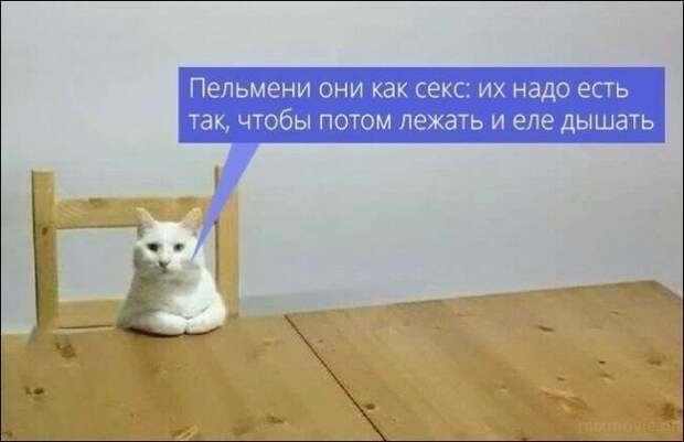 Смешные картинки с надписями