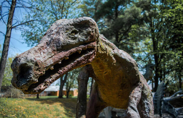 Харизматичный динозавр в Уайт Пост, Вирджиния