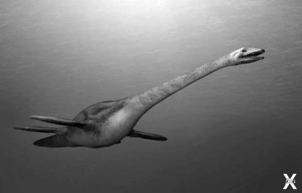 Хищный водоплавающий ящер Плезиозавр