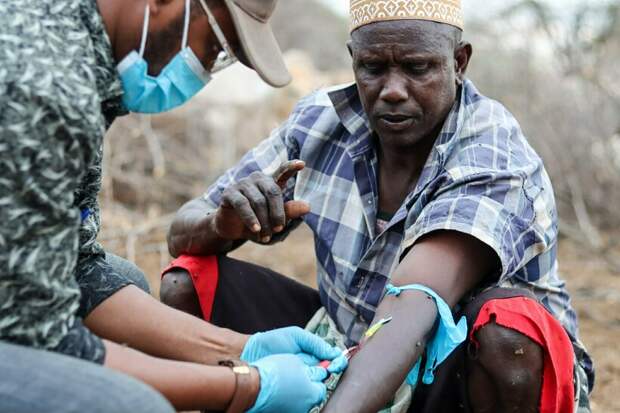 Фото: ILRI/flickr.com