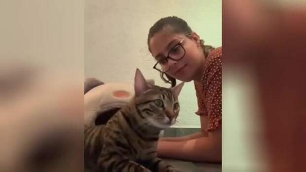 У хозяйки котонавирус: девушка шокировала котов странным поведением