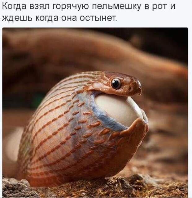 яяя123