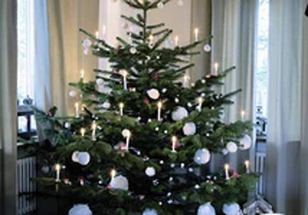 Как украсить елку в 2024 году, чтобы угодить Зеленому Дракону