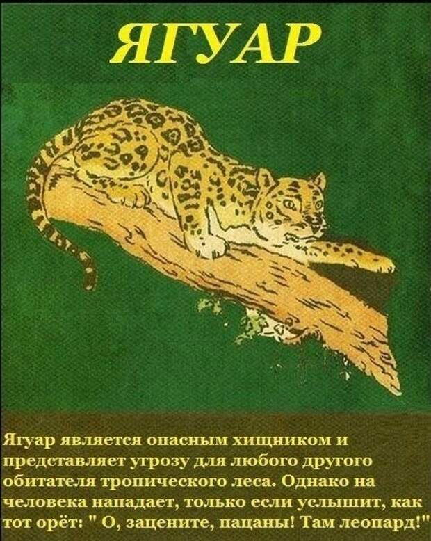 Простые шутки и юмор с просторов сети (30 фото)