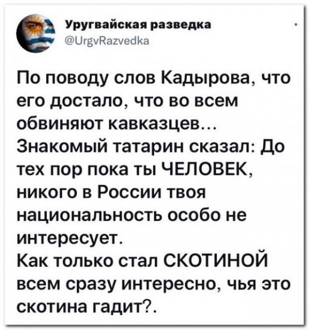 Забавные комментарии из социальных сетей