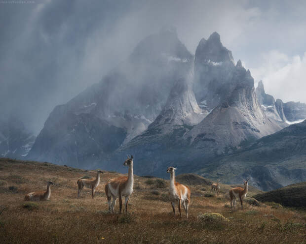 Summer Patagonia by Daniel Kordan on 500px.com
