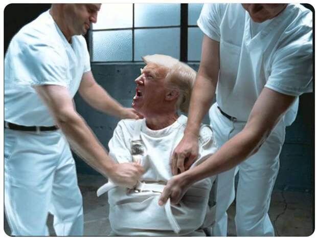 Санитары Верховного Суда: больной, отдайте палку