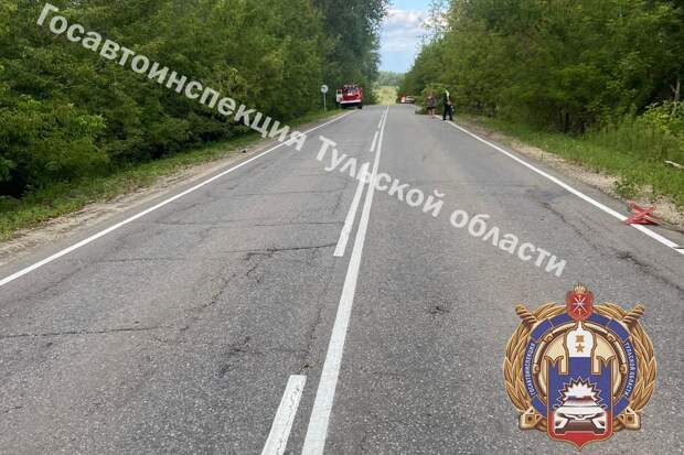 Двое детей попали в больницу после столкновения Hyundai и Renault в Одоевском районе