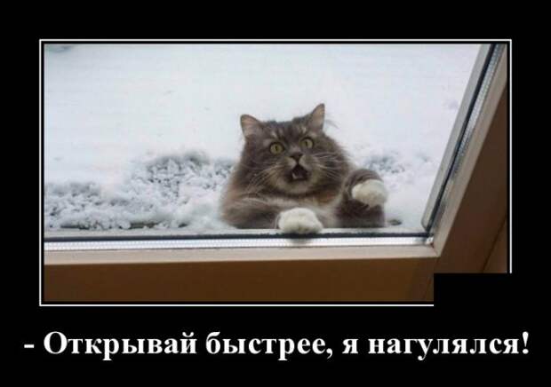 www.vsyako.net
