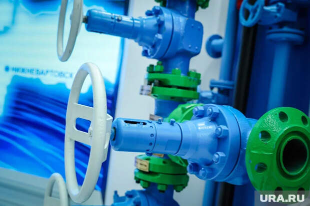 Политик из Саксонии-Анхальт призвал Мерца обсудить с Путиным возобновление поставок казахстанской нефти