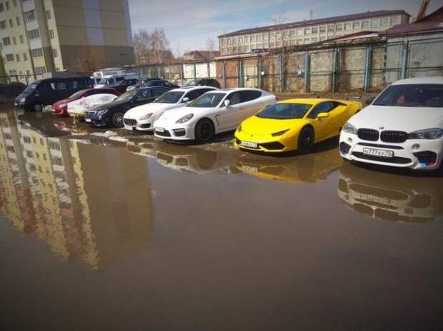 На водопое 