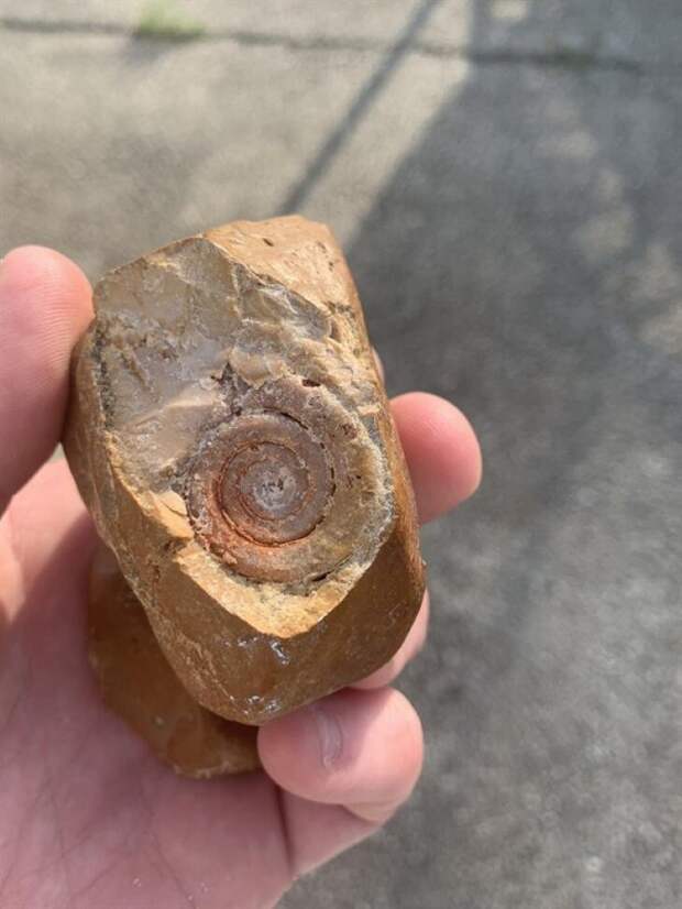 18 находок, позволяющих узнать об удивительных жителях планеты ушедших эпох