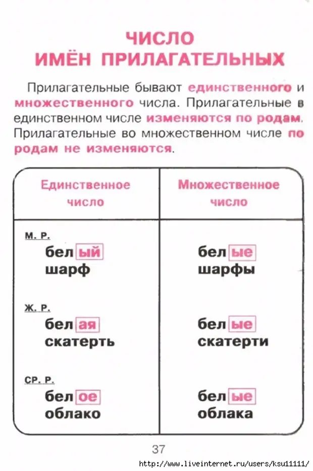 Русский язык для младших школьников в таблицах и схемах