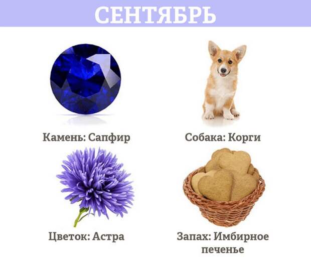 Гороскоп на сенябрь