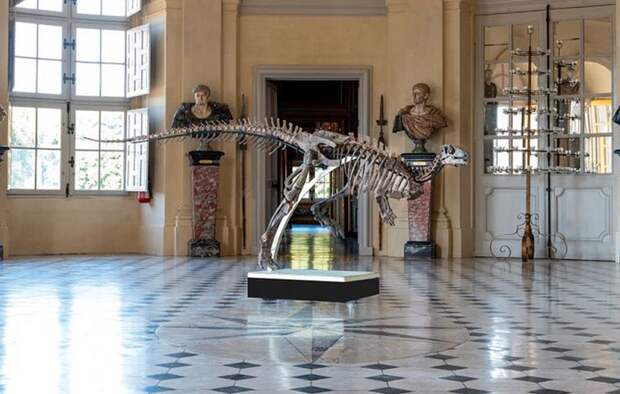 Скелет динозавра возрастом 150 миллионов выставили на аукцион