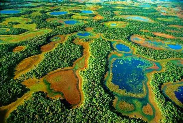 Пантанал — крупнейшие болота мира