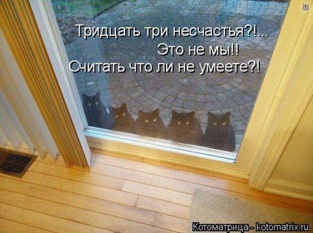 Приколы в котоматрице 25