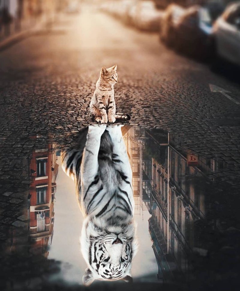 Вот для чего на самом деле придумали Photoshop