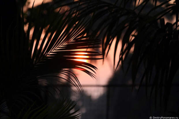 Sunset в Гоа Sunset в Гоа