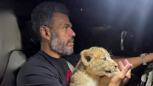 Блогер поселил львенка в красногорском ЖК