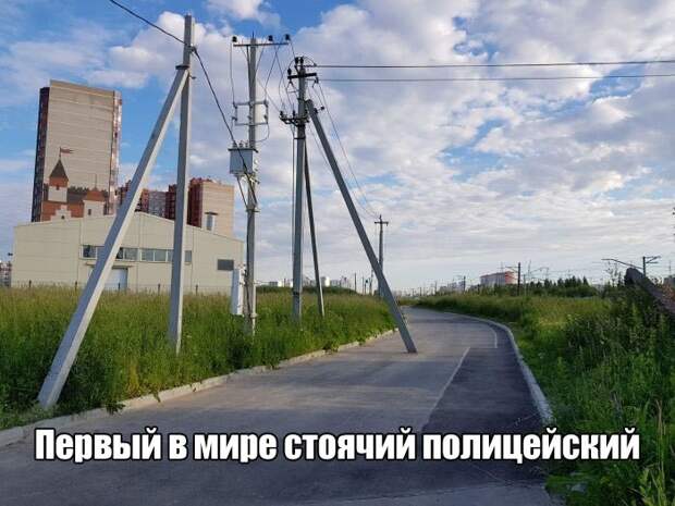 Очередная порция картинок с подписями (25 фото)