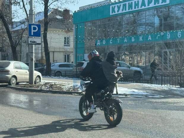 Донецк. Подростки с собакой на питбайке на пр. Ильича. А что, совсем ничего нельзя сделать на законодательном уровне? Весна, мы с ужасом ждем питбайки...