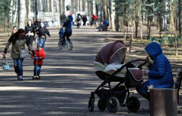 Стало известно, насколько вырастет маткапитал на первого ребенка в 2024 году