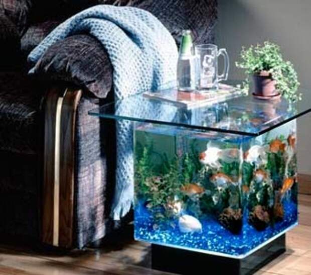 аквариум в интерьере красивые примеры квартир