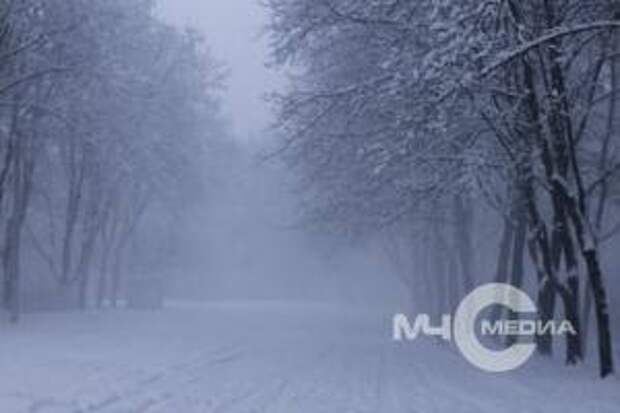Жителей Ярославской области предупреждают о сильном снегопаде в ближайшие сутки