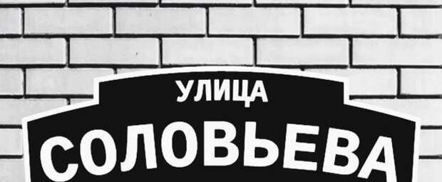 Эксперты подсчитали российские улицы с названиями зверей