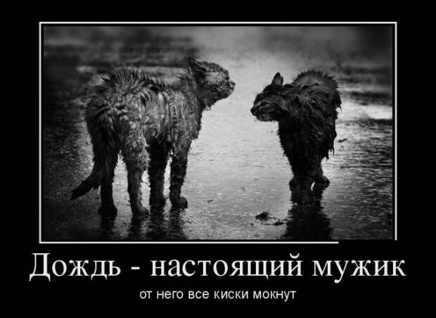 Демотиваторы (30 фото)