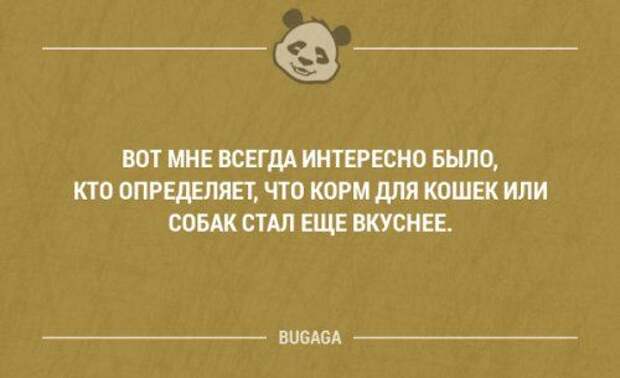 Классная подборка прикольных анекдотов