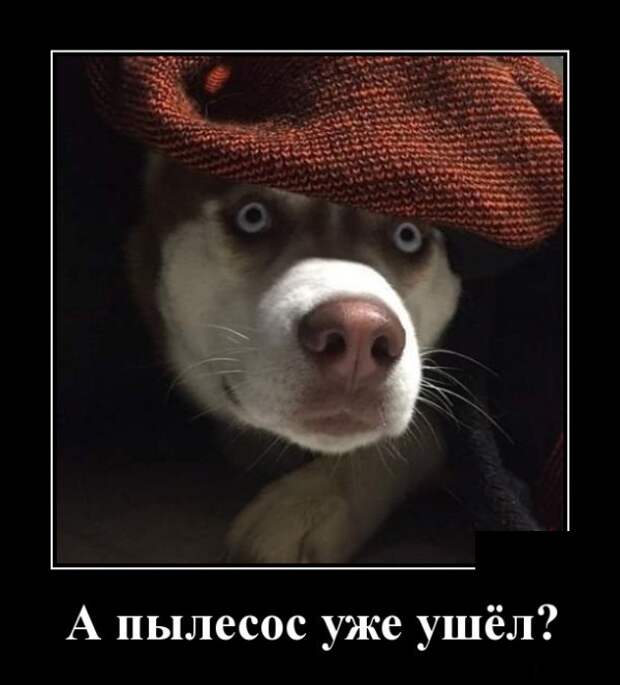 Демотиваторы (30 фото)