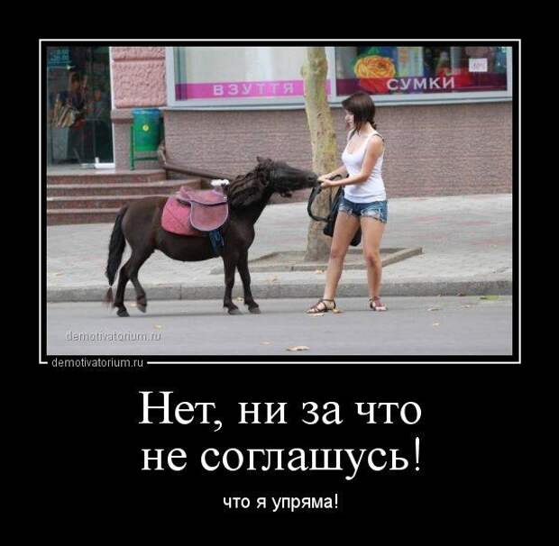 Смешные и забавные демотиваторы про девушек и женскую логику ...