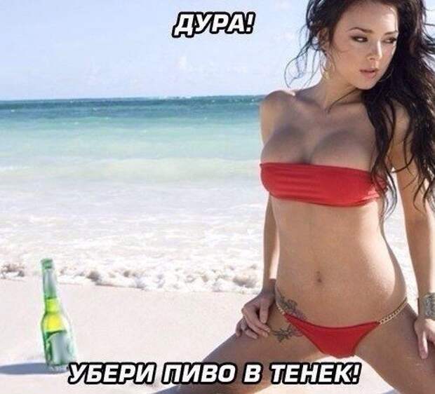 Прикольные фотомемы в новом сборнике (24 шт)