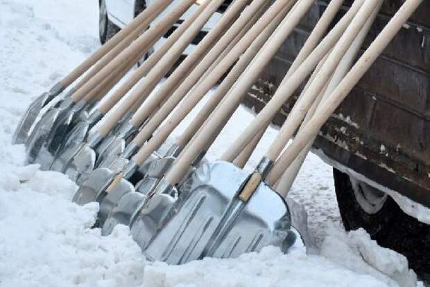 В Тамбове на горячую линию по уборке снега за два дня поступило 656 звонков