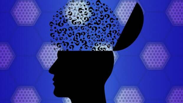 Тест на кругозор: 15 сложных вопросов обо всём на свете для интеллектуалов