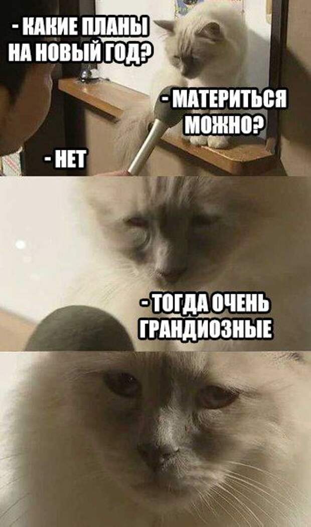 1480275410_88
