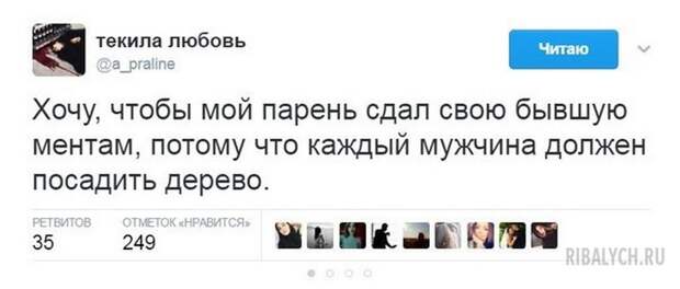 комменты из соцсетей